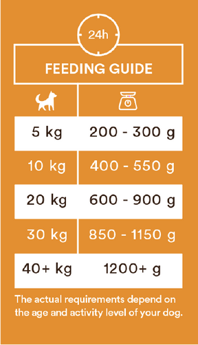 Monster Dog Adult Single Protein Duck 6 x 400 g för hundar