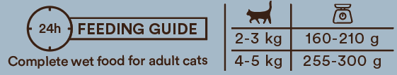 Monster Cat Adult Multi Protein Chicken-Salmon 12 x 100 g för katter