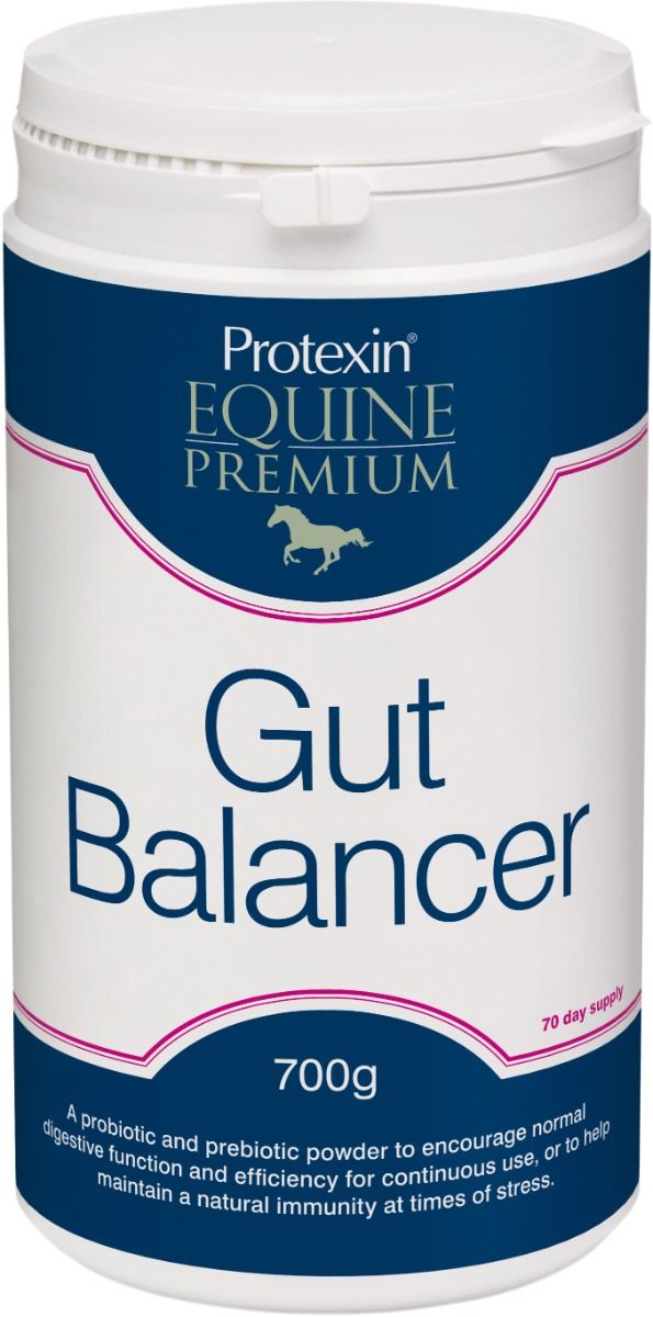 Protexin Gut Balancer för hästar 700 g