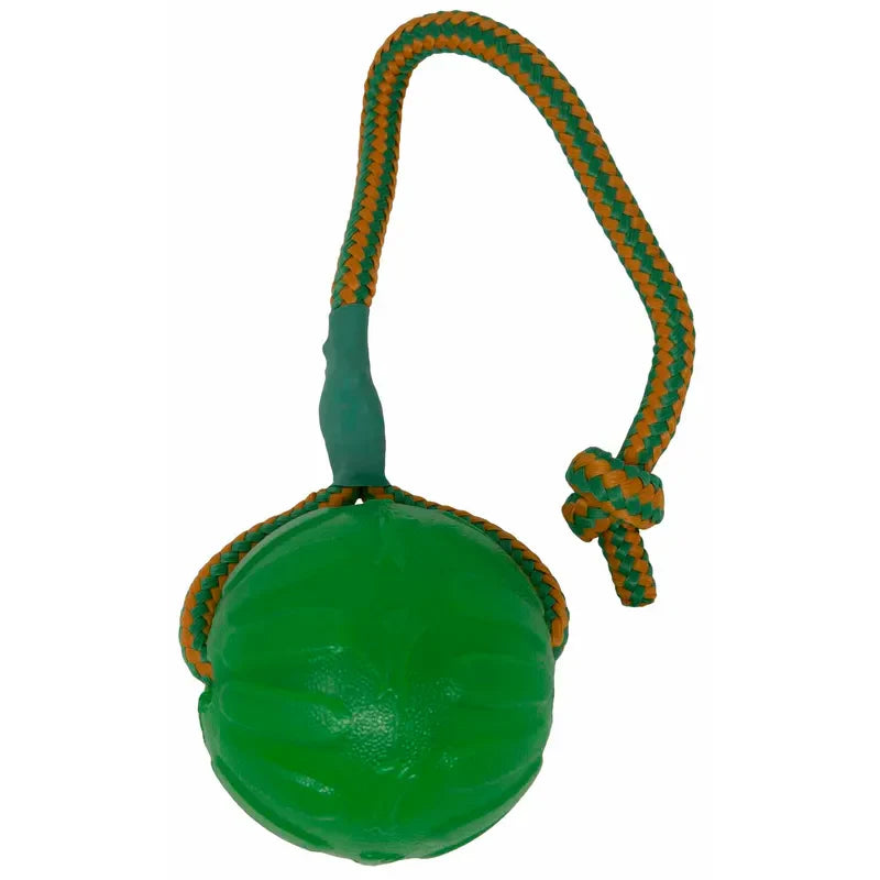 Starmark gelboll Swing Fling Chew Bal