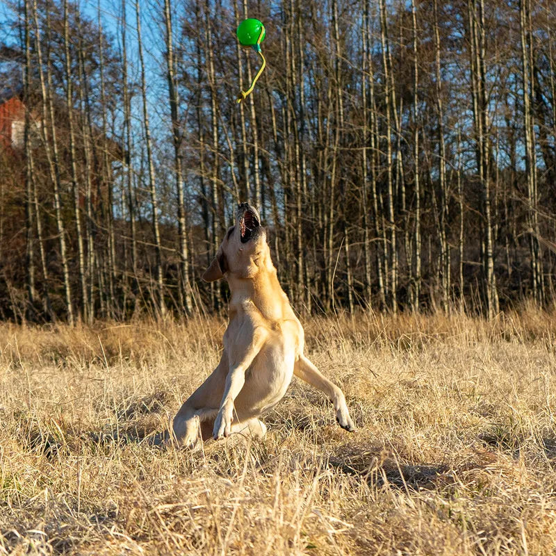 Starmark gelboll Swing Fling Chew Bal