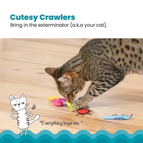  Catstages Cute As A Bug 6-pack kattleksaker