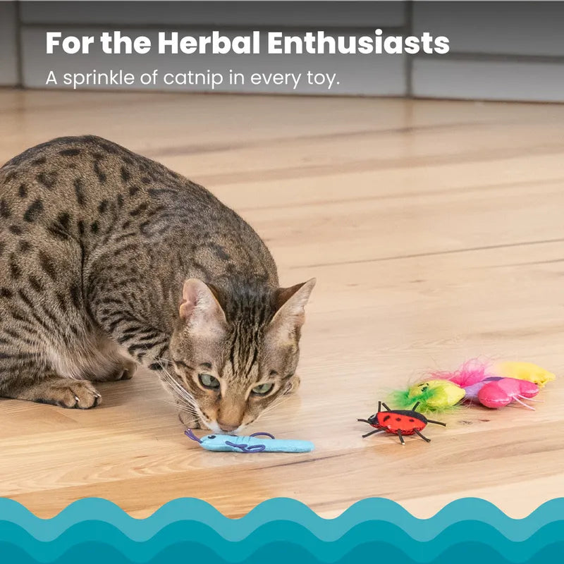  Catstages Cute As A Bug 6-pack kattleksaker