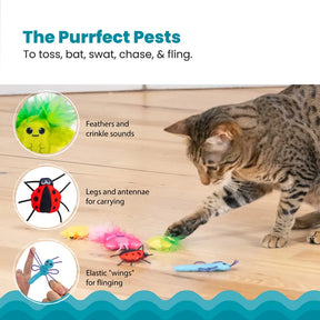  Catstages Cute As A Bug 6-pack kattleksaker