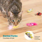 Catstages Cute As A Bug 6-pack cat toys
