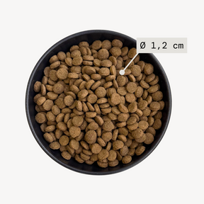 Alvar Pet Adult/Fish torrfoder för hundar