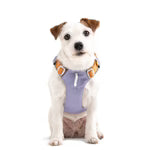 Woolly Wolf Alpha 360 Hundsele