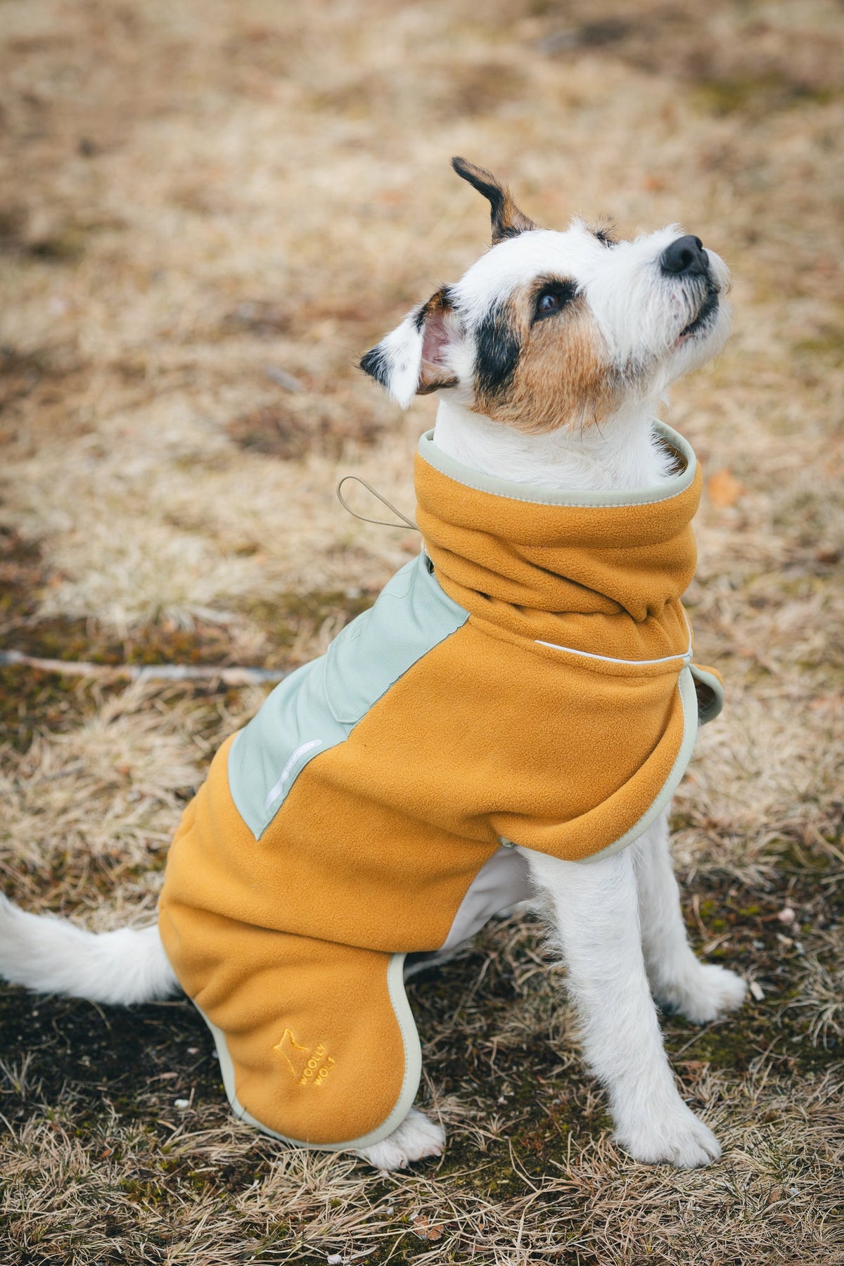 Woolly Wolf Alpha 360 Dog Fleece Pullover