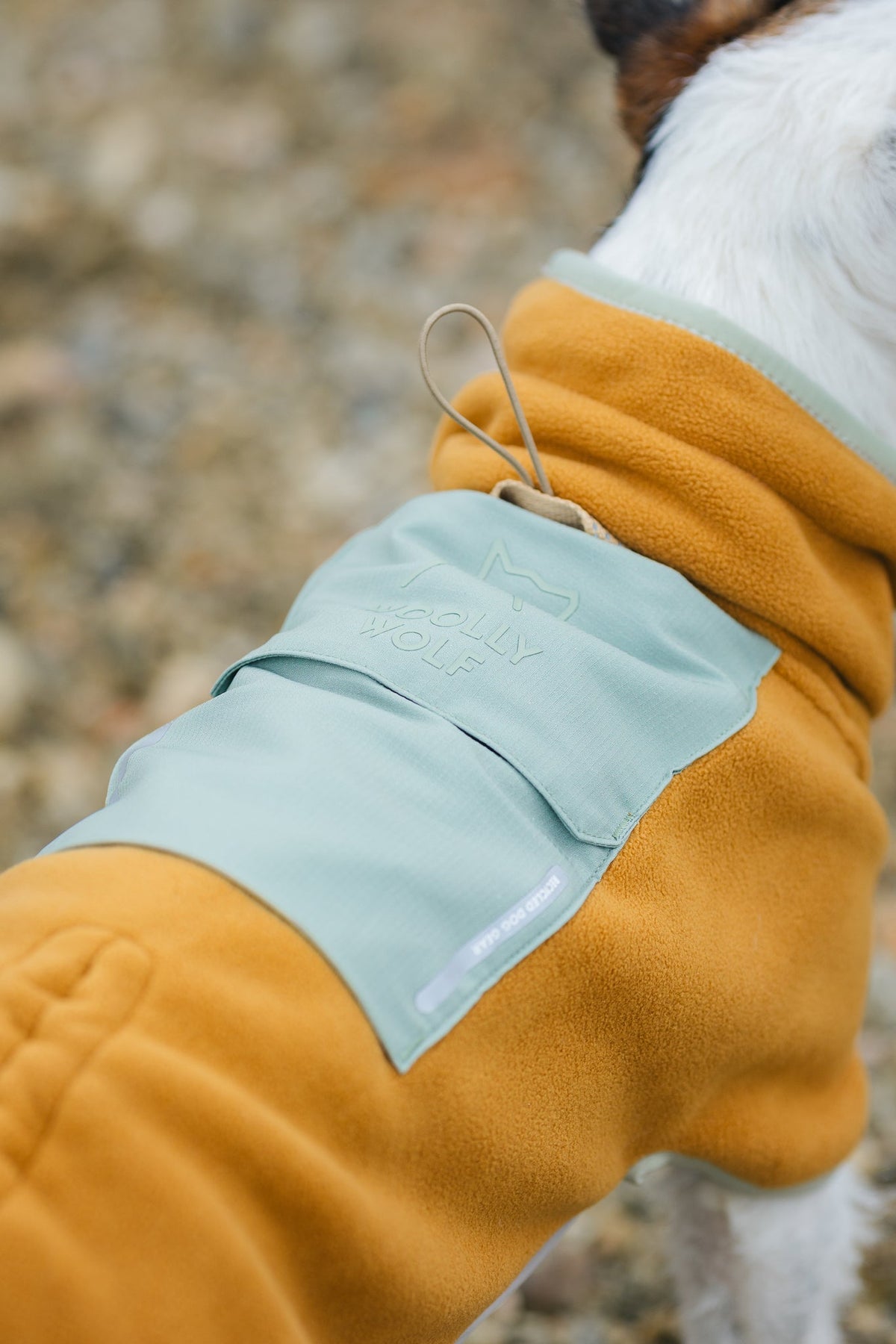 Woolly Wolf Alpha 360 Dog Fleece Pullover