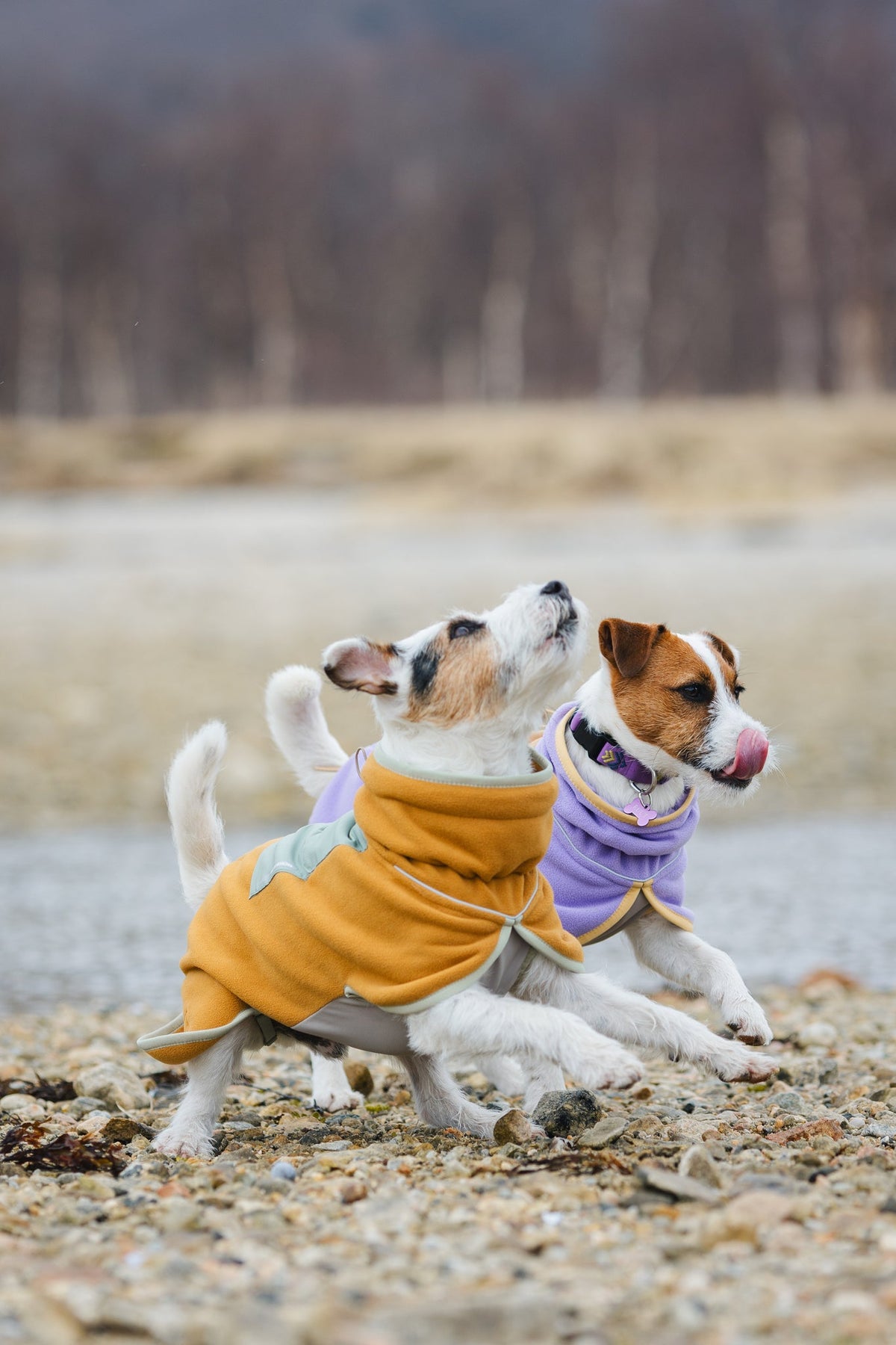 Woolly Wolf Alpha 360 Dog Fleece Pullover