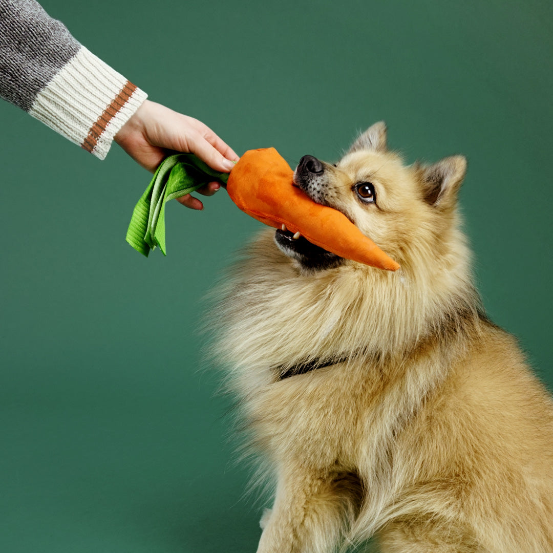 Alvar Pet Hundleksak Cuddly