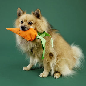 Alvar Pet Hundleksak Cuddly