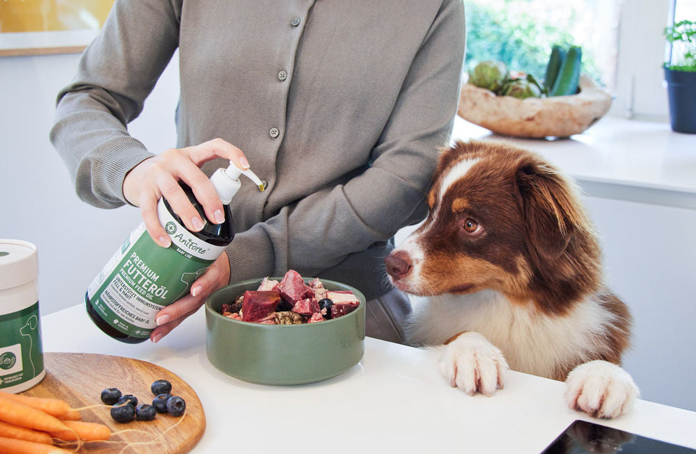 AniForte BARF-Line Premium Feed Oil supplement for dogs 500 ml