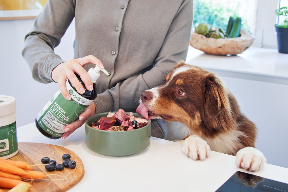 AniForte Linseed Oil tillskott för hundar, katter och hästar 500 ml