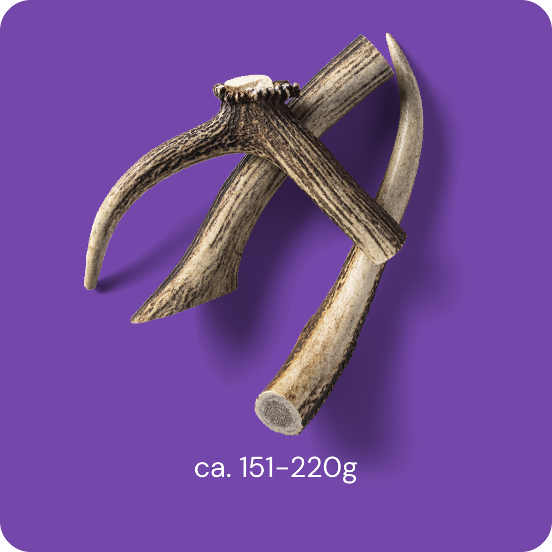 Nutriment Antler L - Hjorthorn 1 pcs