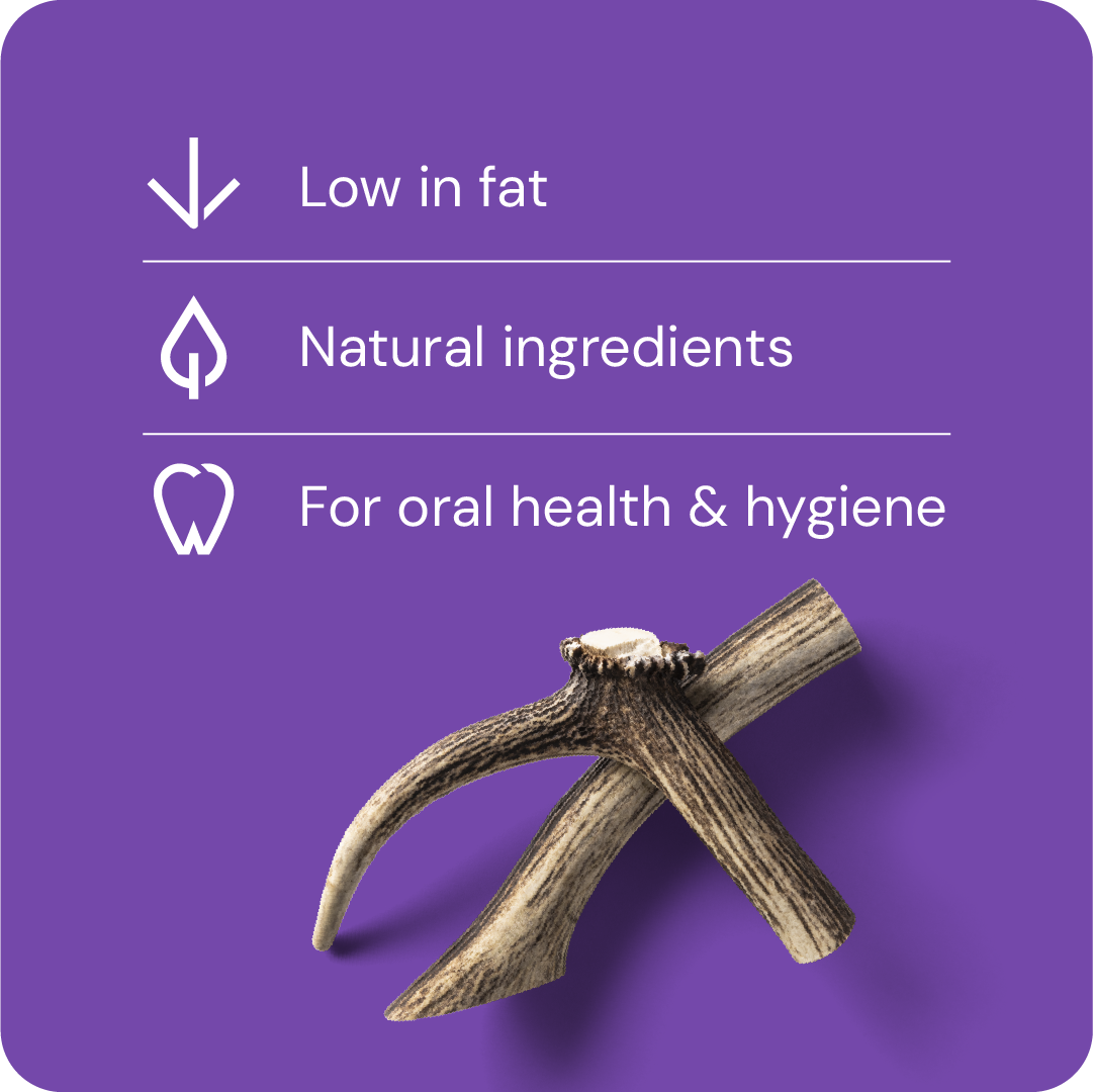 Nutriment Antler L - Hjorthorn 1 pcs