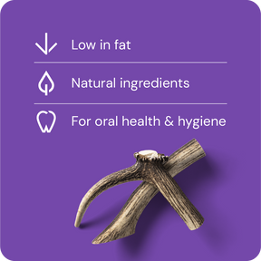 Nutriment Antler L - Hjorthorn 1 pcs