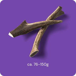 Nutriment Antler M - Hjorthorn 1 pcs
