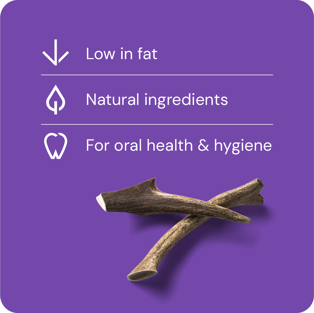 Nutriment Antler M - Hjorthorn 1 pcs