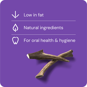Nutriment Antler M - Hjorthorn 1 pcs
