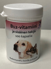 Chemeyes vitamin B12 + intrinsic factor för hundar och katter 100 kapslar