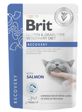 Brit Pouch Recovery med lax 85 g för katter