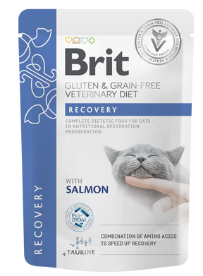 Brit Pouch Recovery med lax 85 g för katter