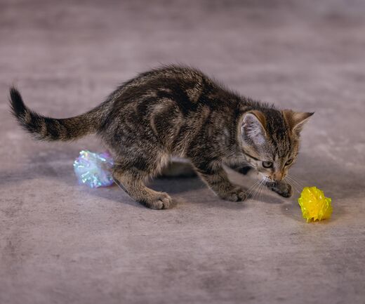 Beeztees Crinkle Balls Cat Toy – 4 Pack