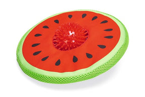 Beeztees Flytande Vattenmelon Leksak för hundar 25 cm