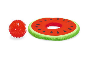 Beeztees Flytande Vattenmelon Leksak för hundar 25 cm