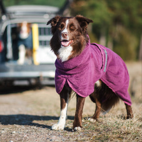BathPomppa Hundbadrock Plum 80/85 cm