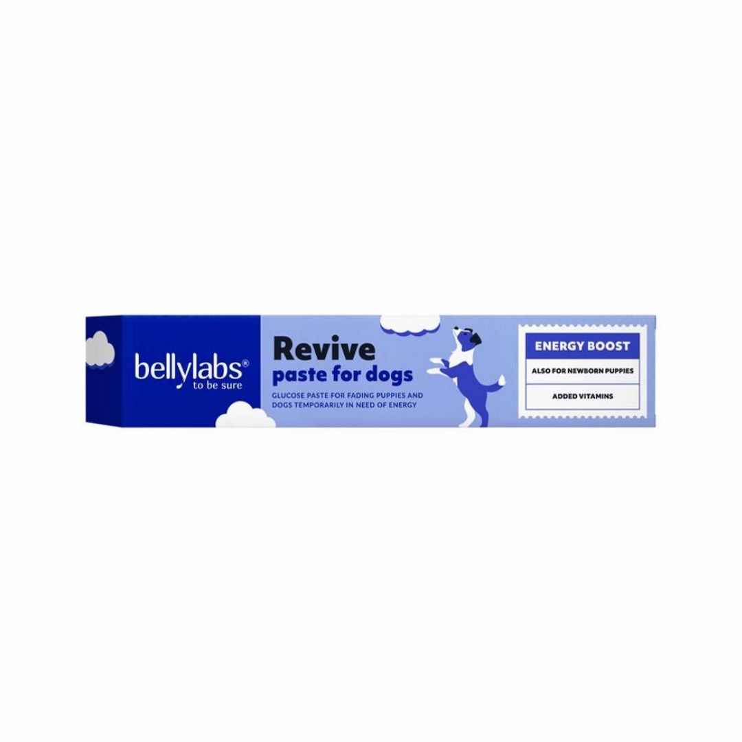 Bellylabs Revive paste 30 ml för hund