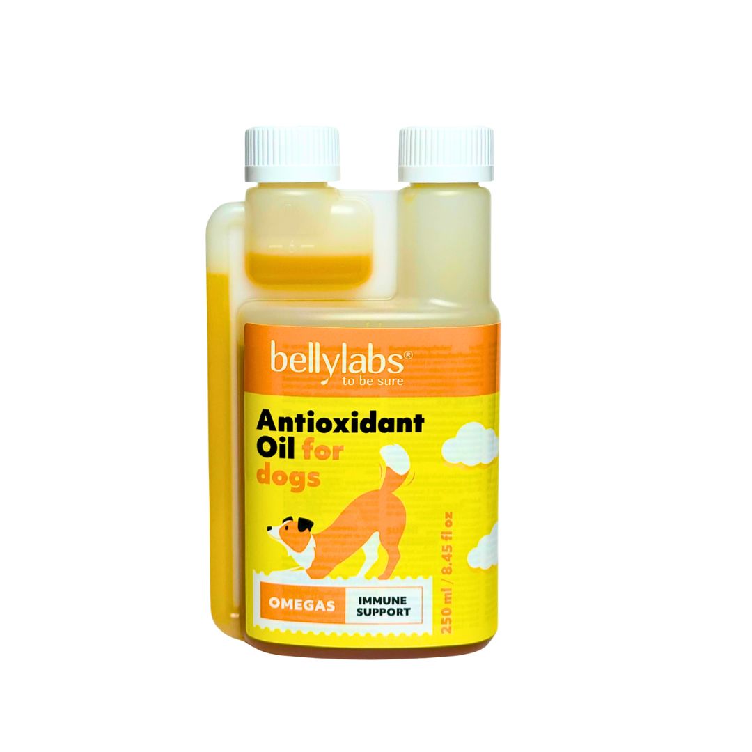 Bellylabs Antioxidant Oil 250 ml för hund