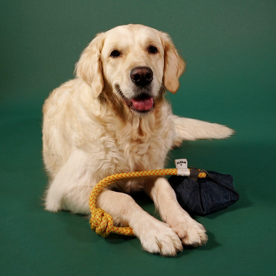 Alvar Pet Hundleksak Crafty