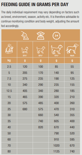 Specific CΩD-HY Allergen Management Plus för Hund
