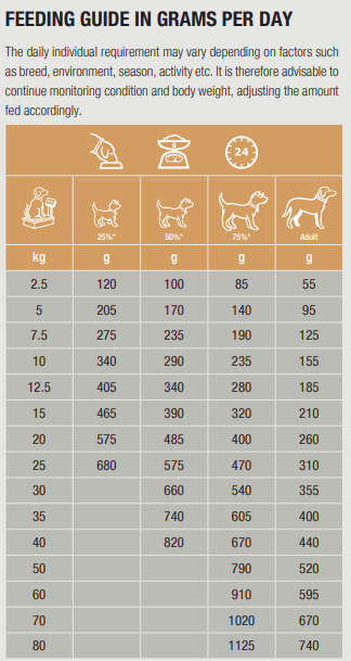 Specific CΩD-HY Allergen Management Plus för Hund