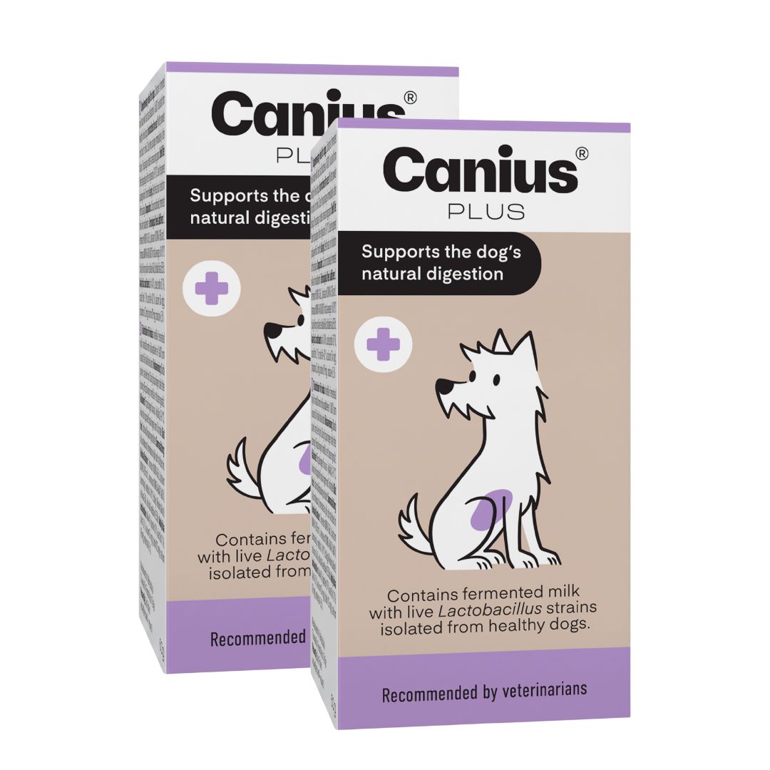 Canius Plus för hund 2 x 60 g SUPERPRIS