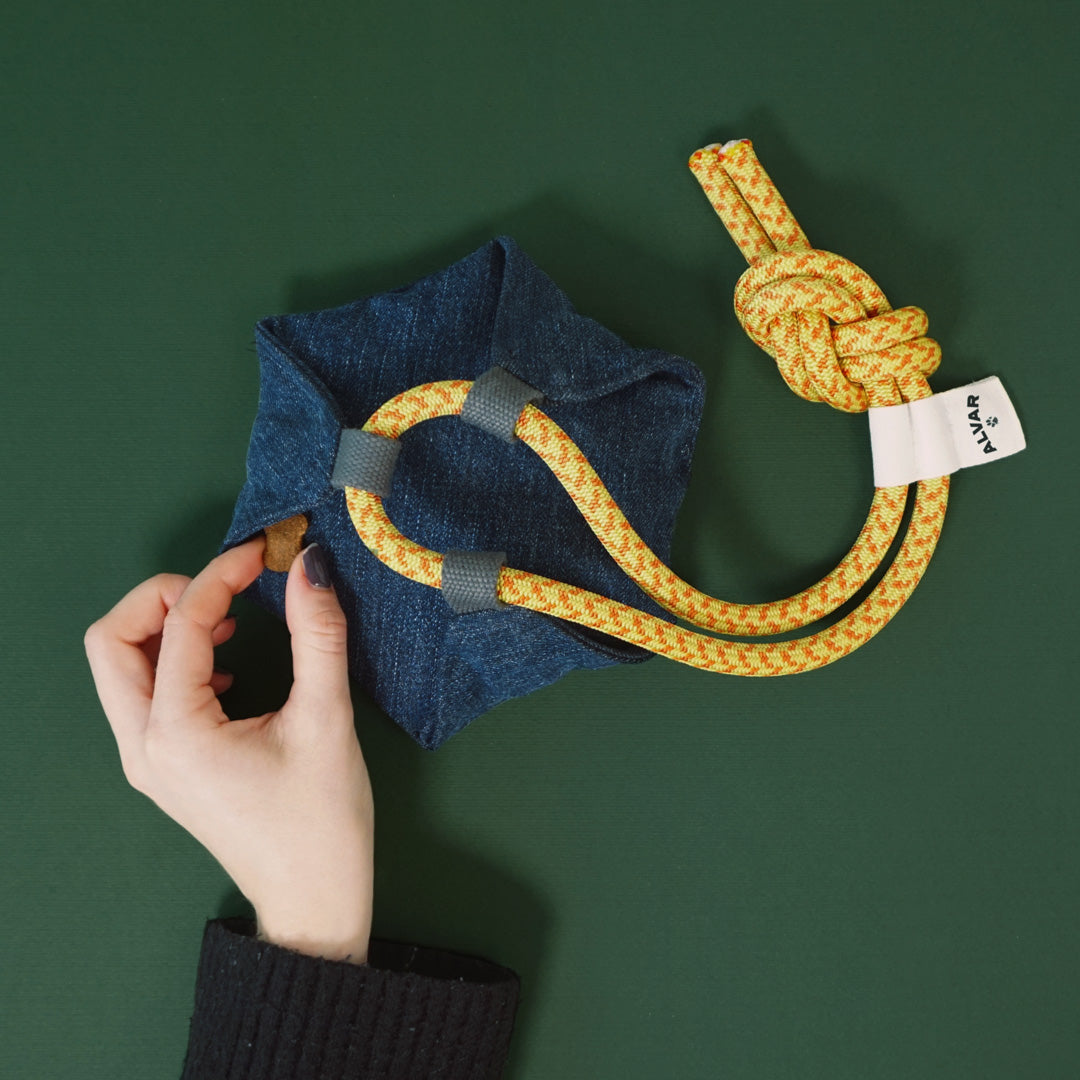 Alvar Pet Hundleksak Crafty