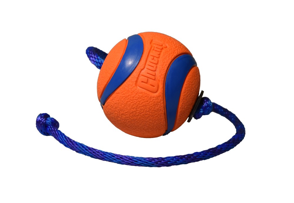 D&C Chuckit repboll M 6,5 cm för hundar
