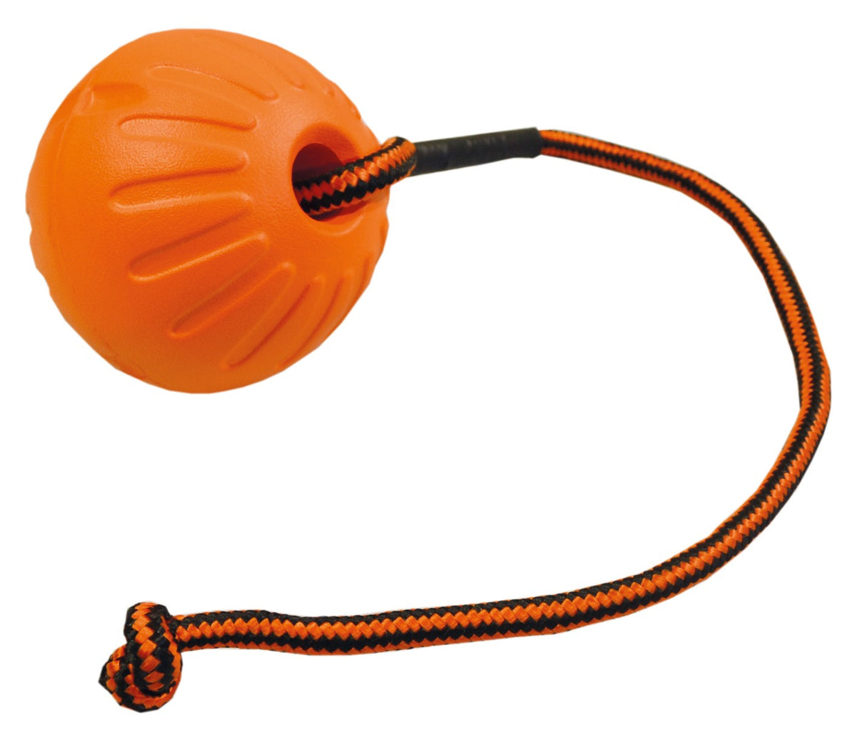 D&C Foam boll med rep L 9 cm för hundar