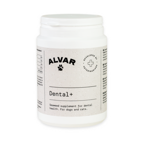 Alvar Pet Dental+ Kosttillskott för hund och katt 150 g