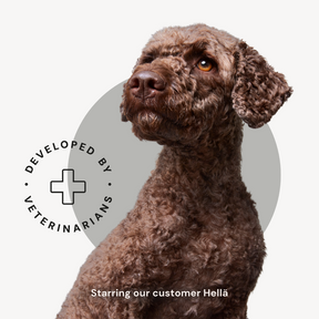 Alvar Pet Derma/Insect torrfoder för hundar