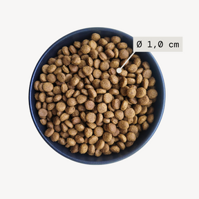 Alvar Pet Derma/Insect kuivtoit koertele 2 x 7 kg SOODUSKOMPLEKT