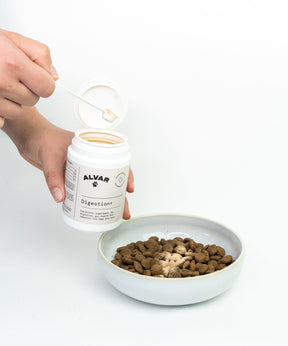 Alvar Pet Digestion+ tillskott för hund och katt 100 g