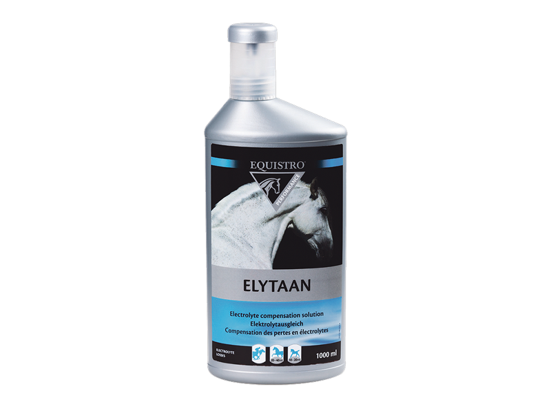 Equistro Elytaan for Horses 1 L