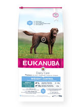 Eukanuba Canine Daily Care Weight Control Large 15 kg för hundar