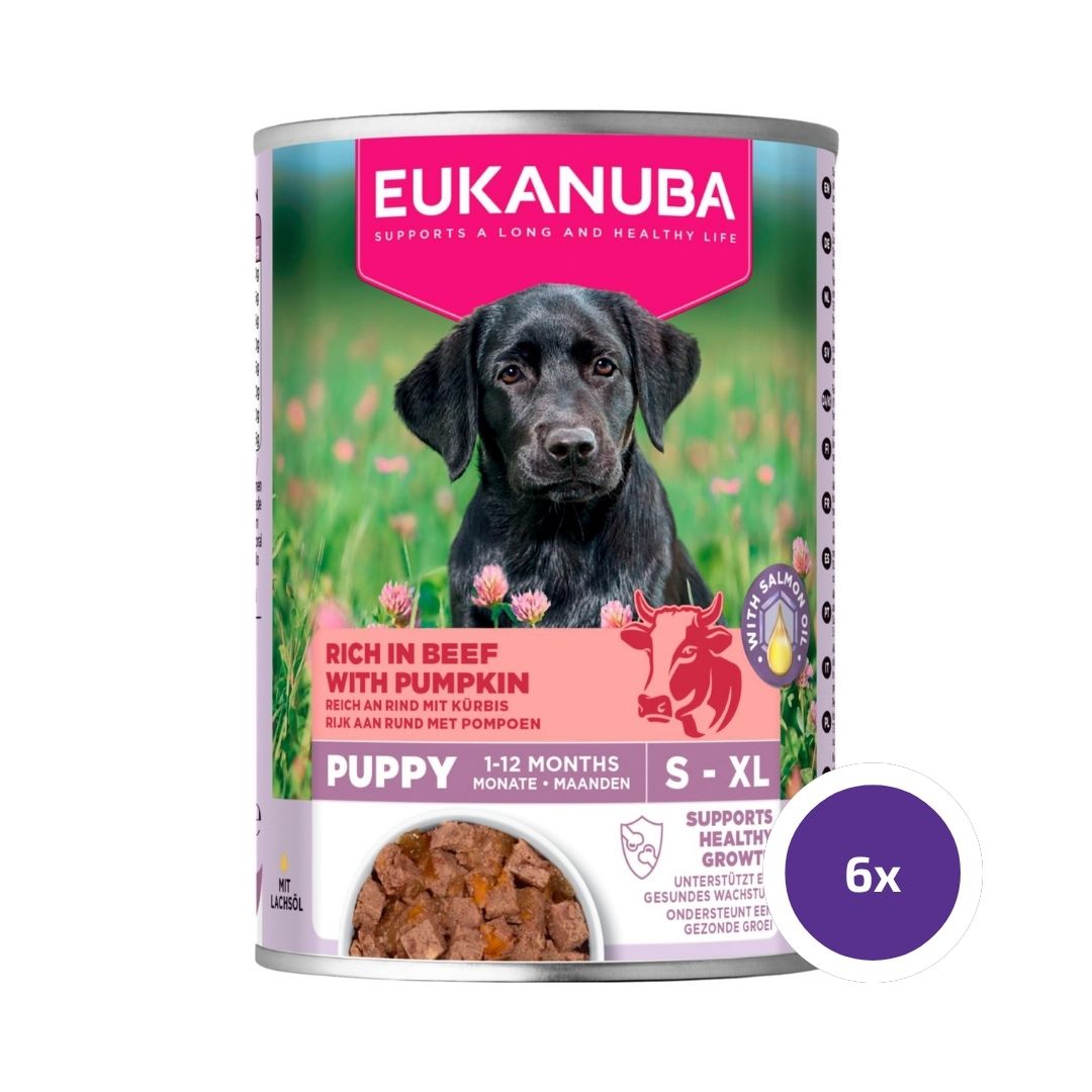 Eukanuba wet food puppies beef with pumpkin for dogs 6 x 400 g VALUE PACK