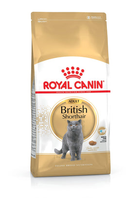 Royal Canin British Shorthair Adult torrfoder för katt 10 kg
