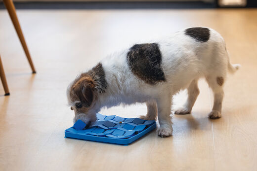 Beeztees LickMat Gourmand Blue 20 cm