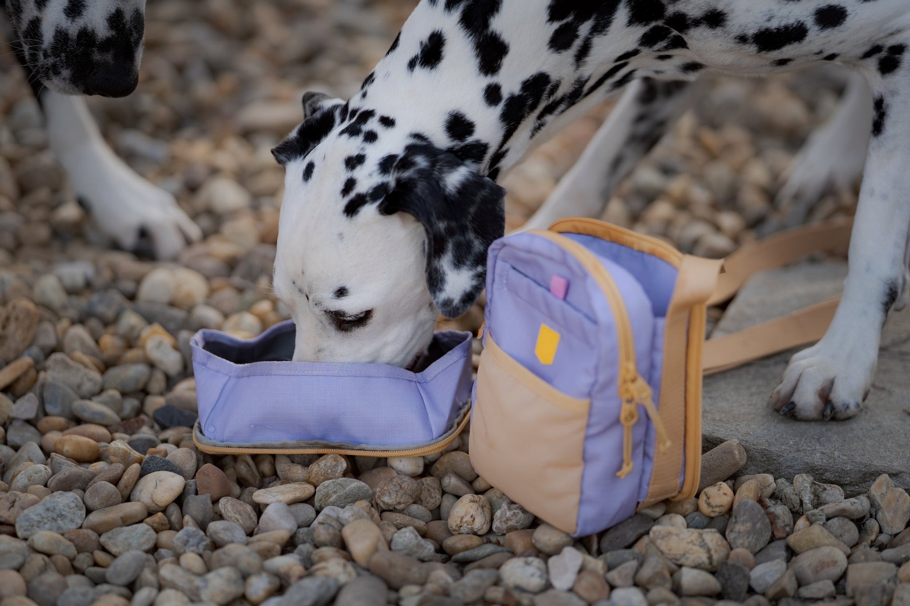 Woolly Wolf Hydration Shoulder Bag + FREE WATER BOTTLE